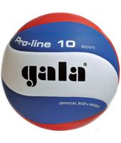 Волейбольный мяч Gala PRO-LINE BV5121S