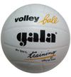 Мяч волейбольный Gala TRAINING BV5041L кожа 