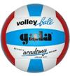 Мяч волейбольный Gala Akademy BV5181S