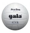 Мяч волейбольный Gala Pro-line BV5011L