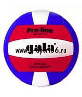 Мяч волейбольный Gala Proline Competition BV5011S