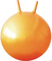 Мяч гимнастический FLEXTER с рожками 75 см. FL97401