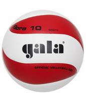 Мяч волейбольный Gala Bora 10 BV5671S