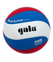 Волейбольный мяч Gala PRO-LINE BV5591S