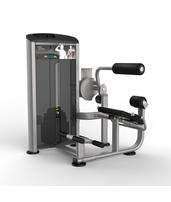 Тренажер разгибание спины, опора - валик Aerofit Impulse Elite IE9532