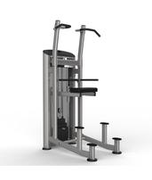 Тренажер подтягивание/отжимание с помощью Aerofit Impulse Elite IE9520