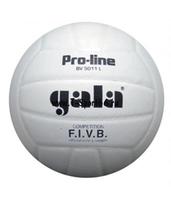 Мяч волейбольный Gala Pro-line BV5011L