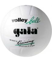 Мяч волейбольный Gala TRAINING BV5041S