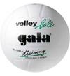 Мяч волейбольный Gala TRAINING BV5041S