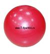 Мяч гимнастический FLEXTER повышенной прочности 55см FL97403