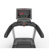 Беговая дорожка AeroFit RT750 (X7-T LED)