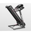 Беговая дорожка BH FITNESS PIONEER R3