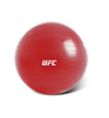 Гимнастический мяч UFC 65 см