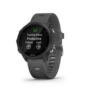 Беговые смарт-часы Garmin Forerunner 245 черный с серым ремешком