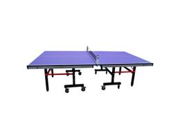 Профессиональный Теннисный стол для помещений Scholle T850