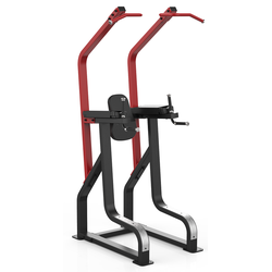 Поднятие коленей / брусья / турник Aerofit Sterling SL7045+SL7045OPT