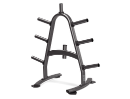 Стойка для дисков BRONZE GYM BR-1022