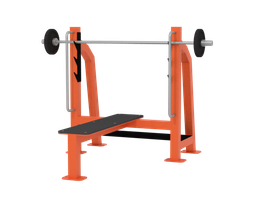Скамья для жима 50 кг Iron King S201