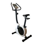 Велотренажер DFC B621B магнитный