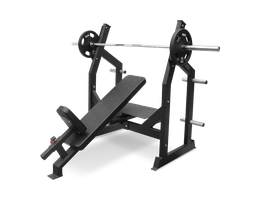 Скамья для жима под углом BRONZE GYM AL-305