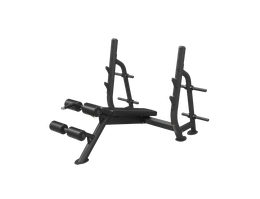 Олимпийская скамья с отрицательным углом наклона Spirit SP-4211