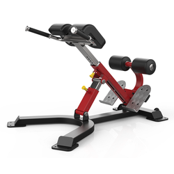 Разгибание спины, гиперэкстензия, многопозиционная Aerofit Sterling SL7047