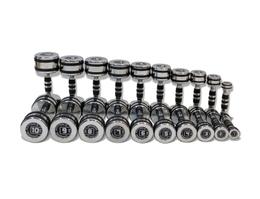 Набор гантелей хромированных 10 пар FT-CRDB-110-SET