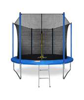 Батут ARLAND 10FT с внутренней страховочной сеткой и лестницей