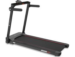 Беговая дорожка Titanium Masters Slimtech C350