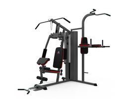 Силовой комплекс DFC D7004 (D7003 + опция брусья)